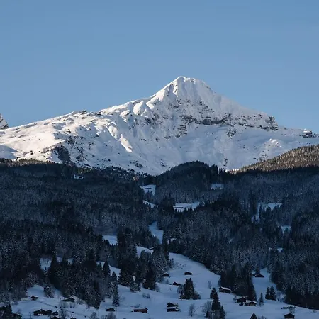 The Blue Ice - Grindelhomes Appartement